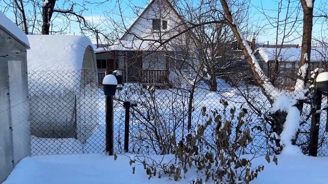 Урал завалило снегом. Поехали на дачу утеплять деревья