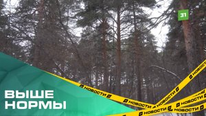 На Южном Урале наблюдается аномально теплая зима