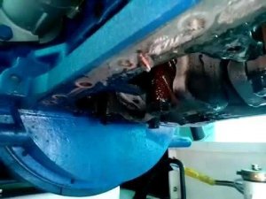 Китайский Вилсон (осторожно мат!)