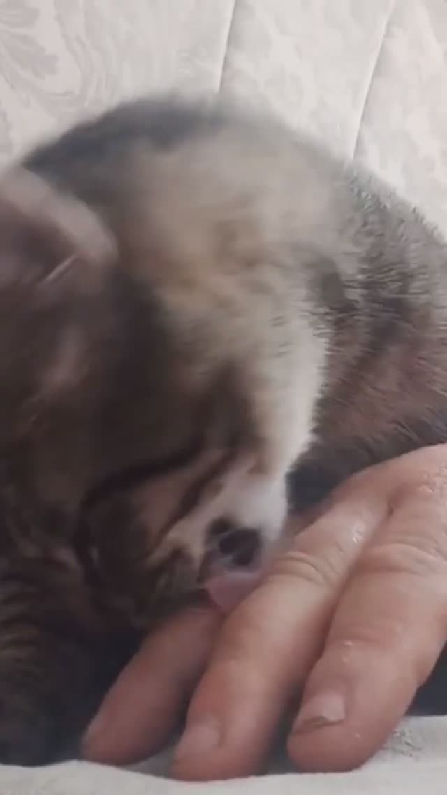 22 февраля 2024 г. смотреть онлайн