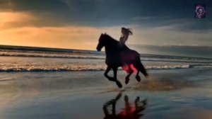 JASPER MERLE - Samsara Davanala (DJ SHABAYOFF remix)🌞💃🙏
