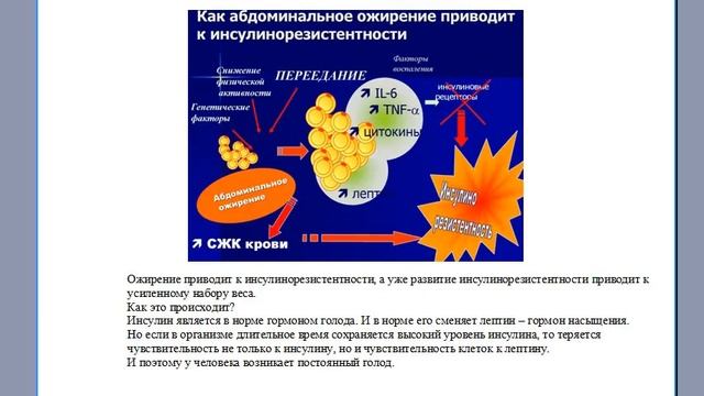 Профилактика и коррекция инсулинорезистентности