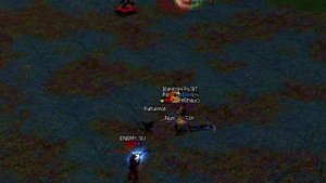 Lineage 2 / PK ENEMY