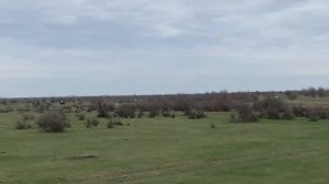 Скачки в С,Алибекотар. Заезд на 6000м