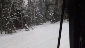 Новая делянка. МтЗ в лесу 😉