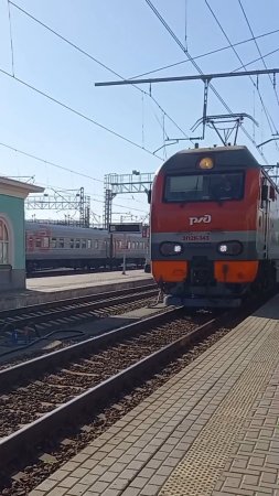 Как изменилась жизнь простой собаки