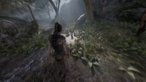 Hellblade_ Senua's Sacrifice ТЕСТ