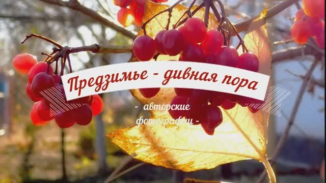 Предзимье дивная пора смотреть онлайн