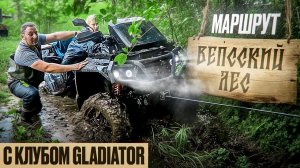 Вепсский лес. Заброшенные деревни и красивейшие места недалеко от Санкт-Петербурга