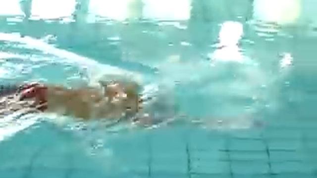 The Most Graceful Freestyle Swimming by Shinji Takeuchi