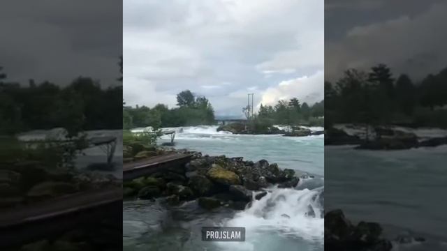 Аль-Ахзаб (Союзники) Quran 33:35 смотреть онлайн