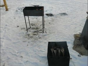 Приехали на участок. Скумбрия горячего копчения.
