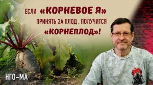 Если «корневое Я» принять за Плод, получится «корнеплод»!