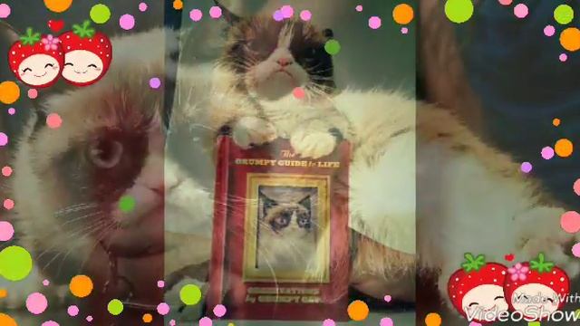 Кот Соус Тар Тар.Кружит. смотреть онлайн