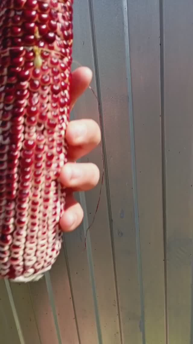 немного в шоке смотреть онлайн