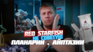 VLOG-33-1(Скиммер Red Starfish планарии,айптази)