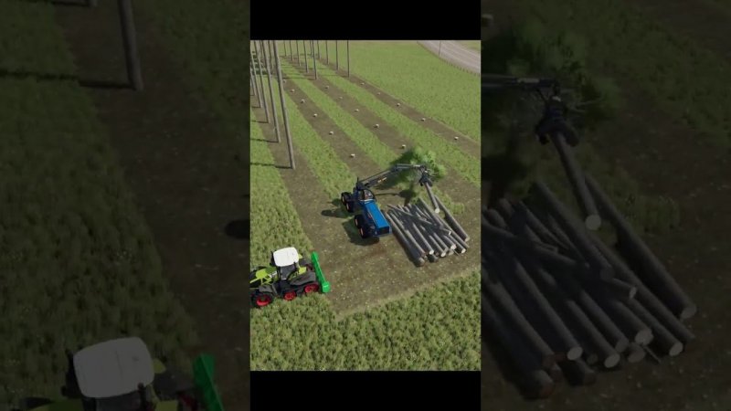 Заготовка леса в  Fs22 #farmingsimulator22 #fs22 #automobile #games #cat