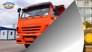 Изучаем транспорт и спецтехнику  Развивающее видео для детей  Educational video for children