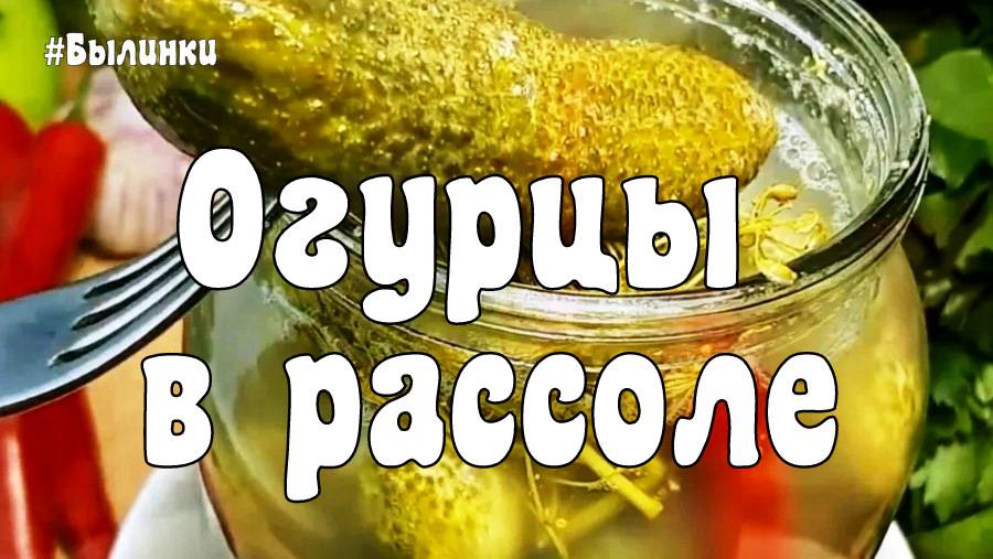 БЫЛИНКИ. Огурцы в рассоле