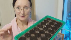 Январь 2025 года. Покупки на огород. Началось )) Чайник уже сломался)) Опрыскиватель... не знаю ))