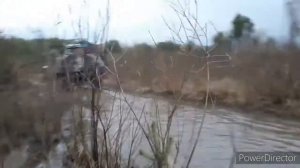 Застряли в луже