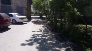 Разбили и оставили двор. Талдыкорган.