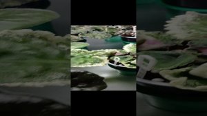 Отвечаю на вопросы из предыдущего видео.