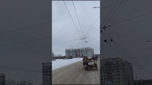 Дедморозный мотопробег.
Мотолиса🦊
