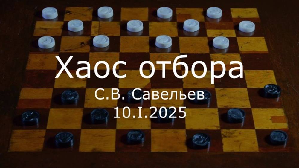 С.В. Савельев - Хаос отбора смотреть онлайн