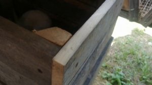 Клетка для кролика по проекту.