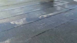 Антон крыша