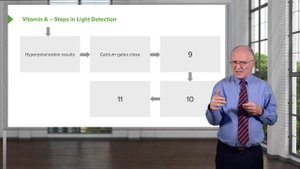 01.02 Vitamin A Steps in Light Detection