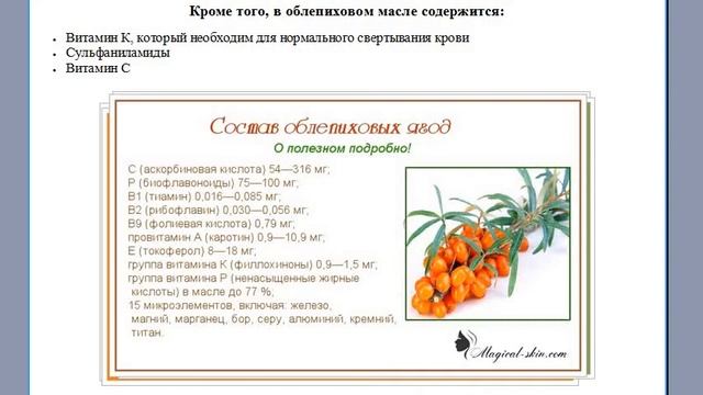 Полезная информация об облепиховом масле компании Биозан