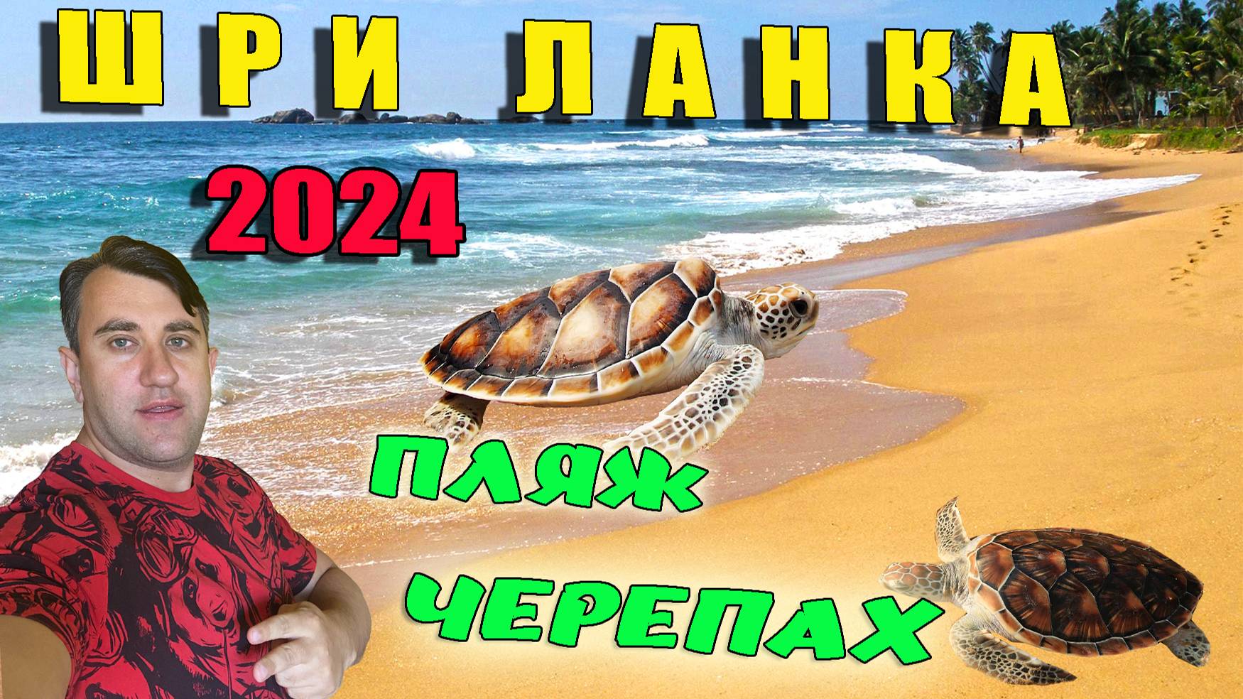 ШРИ-ЛАНКА 2024. ГУЛЯЮ ПО ХИККАДУВЕ. ПЛЯЖ С ЧЕРЕПАХАМИ.