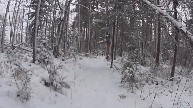 Красноярские столбы 05.11.2023 смотреть онлайн