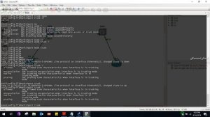 how to disable dynamic trunk protocol on cisco switch interfaces