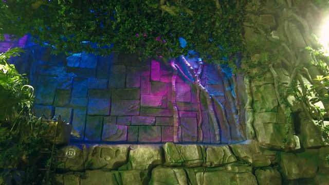 Владивостокский океанариум, фрагмент в секции "Тропический лес". смотреть онлайн