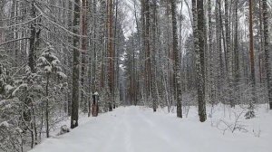 Россия снежная.