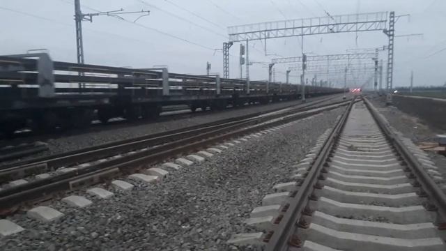 Плетевоз