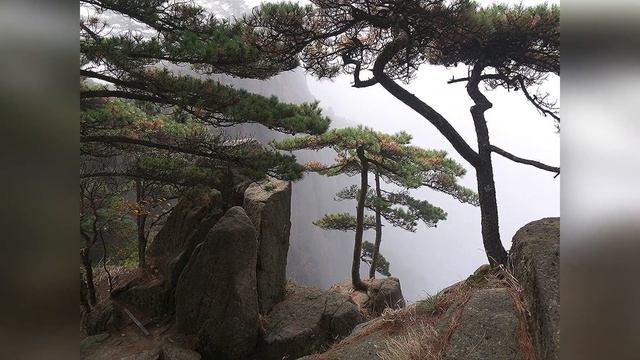 ГОРДЯЧКА смотреть онлайн