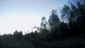 ОХОТА на ВАЛЬДШНЕПА.Стреляю из ТОЗ 34 ДАЛЕКО над лесом,БРИК  ВСЕХ ПРИНОСИТ!!!Woodcock hunting.