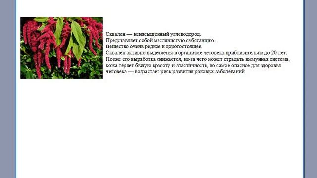 Новинка!!! Омега-3 с антиоксидантами и скваленом Биозан