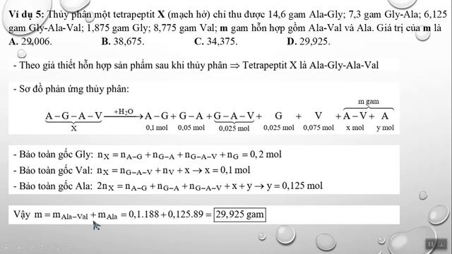 PHƯƠNG PHÁP VÀ PHÂN LOẠI CÁC DẠNG BÀI TẬP THỦY PHÂN PEPTIT TRONG ĐỀ THI ĐẠI HỌC CÁC NĂM смотреть онлайн