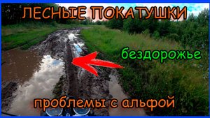 Покатушки по лесным дорогам на мопеде альфа. Катаю после дождей