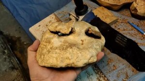 Попробовал сделать чашу из сувеля осины