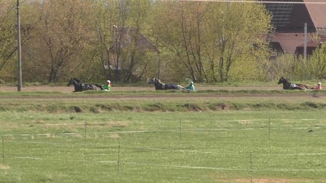6 Раменский ипподром 07.05.2021 - Кв.з. - Лошади рожд. 2017, 2018гг. и ст. возраста рысистых пород смотреть онлайн