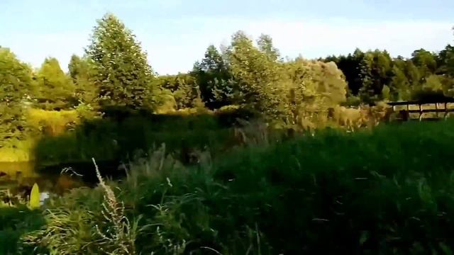 в поисках рыбы / стейк из мраморной говядины / ловля подлещика #рыбалка #подлещик #мраморнаяговядин