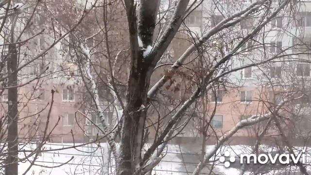 С новым годом! Зимний клип