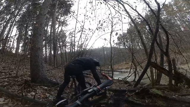 Прогулка на велосипедах через лес и болото смотреть онлайн