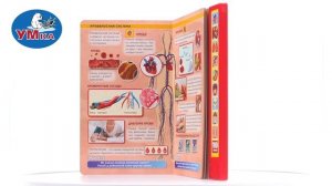 Озвученная книга «100 звуков. Моё тело», Умка 9785506040323